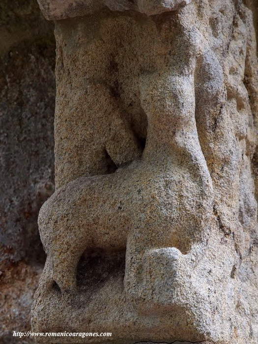 DETALLE PORTADA ACCESO AL CLAUSTRO. TORO DE LUCAS